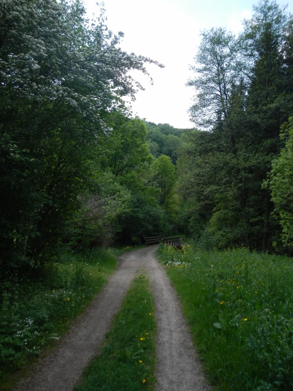 Ein neuer Weg